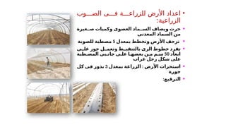 •
‫الص'''وب‬ ‫ف'''ى‬ ‫للزراع'''ة‬ ‫األرض‬ ‫اعداد‬
‫الزراعية‬
:
•
‫غيرة‬ ‫ص‬ ‫وكميات‬ ‫العضوى‬ ‫ماد‬ ‫الس‬ ‫ويضاف‬ ‫حرث‬
‫المعدنى‬ ‫السماد‬ ‫من‬
•
‫بمعدل‬ ‫وتخطط‬ ‫األرض‬ ‫تزحف‬
5
‫للصوبة‬ ‫مصطبة‬
•
‫ى‬ ‫عل‬ ‫جور‬ ‫ل‬ ‫وتعم‬ ‫ط‬ ‫بالتنقي‬ ‫الرى‬ ‫خطوط‬ ‫تفرد‬
‫ابعاد‬
50
‫طبة‬ ‫المص‬ ‫بى‬ ‫جان‬ ‫ى‬ ‫عل‬ ‫ا‬ ‫بعضه‬ ‫ن‬ ‫م‬ ‫م‬ ‫س‬
‫غراب‬ ‫رجل‬ ‫شكل‬ ‫على‬
•
‫اس‬
‫األرض‬ ‫تحراث‬
:
‫بمعدل‬ ‫الزراعة‬
3
‫كل‬ ‫فى‬ ‫بذور‬
‫جورة‬
•
:‫الترقيع‬
 