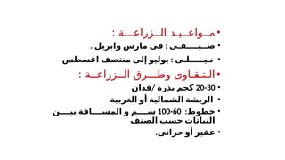 •
: ‫الــزراعـــة‬ ‫مــواعــيـد‬
•
. :
‫وابريل‬ ‫مارس‬ ‫فى‬ ‫صــيــــفـى‬
•
:
‫اغسطس‬ ‫منتصف‬ ‫إلى‬ ‫يوليو‬ ‫نـيـــــلـى‬
.
•
: ‫الــزراعــة‬ ‫وطـــرق‬ ‫الـتـقـاوى‬
•
20-30
‫بذرة‬ ‫كجم‬
/
‫فدان‬
•
‫الغربية‬ ‫أو‬ ‫الشمالية‬ ‫الريشة‬
•
:‫خطوط‬
60
-
100
‫م‬ ‫س‬
‫و‬
‫ن‬ ‫بي‬ ‫افة‬ ‫المس‬
‫الصنف‬ ‫حسب‬ ‫النباتات‬
•
‫أو‬ ‫عفير‬
‫حراتى‬
.
 