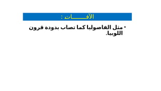 : '
‫ت‬‫اآلفــــــــا‬
•
‫قرون‬ ‫بدودة‬ ‫تصاب‬ ‫كما‬ ‫الفاصوليا‬ ‫مثل‬
.‫اللوبيا‬
 