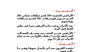 •
: ‫الـتـسـمـــيـد‬
•
‫الخصبه‬ ‫األراضي‬
:
200
,‫نشادر‬ ‫سلفات‬ ‫كجم‬
200
‫م‬ ‫كج‬
, ‫فات‬ ‫فوس‬ ‫وبر‬ ‫س‬
100
‫لفات‬ ‫س‬ ‫م‬ ‫كج‬
‫بوتاسيوم‬
•
‫بطن‬ ‫فى‬ ‫سرا‬ ‫التزهير‬ ‫بدايه‬ ‫وعند‬ ‫األنبات‬ ‫بعد‬
‫الرى‬ ‫قبل‬ ‫الخط‬
•
.
‫به‬ ‫الخص‬ ‫ر‬ ‫غي‬ ‫األراضي‬
:
‫ض‬
‫ع‬
‫المعدالت‬ ‫ف‬
‫ى‬ ‫عل‬ ‫ابقه‬ ‫الس‬
4
‫تمام‬ ‫د‬ ‫بع‬ ‫ى‬ ‫األول‬ ‫دفعات‬
‫االنبات‬
‫كل‬ ‫ثم‬
15
. ‫يوم‬
•
: ‫الـحـــصـاد‬
•
‫ا‬ ‫م‬ ‫ى‬ ‫وه‬ ‫ا‬ ‫نموه‬ ‫ل‬ ‫يكتم‬ ‫ن‬ ‫أ‬ ‫د‬ ‫بع‬ ‫القرون‬ ‫د‬ ‫تحص‬
‫غضه‬ ‫زالت‬
 