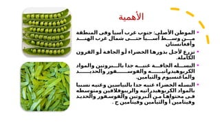 ‫األهمية‬
•
:
‫المنطقة‬ ‫وفى‬ ‫آسيا‬ ‫غرب‬ ‫جنوب‬ ‫األصلى‬ ‫الموطن‬
‫د‬ ‫الهن‬ ‫غرب‬ ‫شمال‬ ‫ى‬ ‫حت‬ ‫يا‬ ‫آس‬ ‫ط‬ ‫وس‬ ‫ن‬ ‫م‬
‫وأفغانستان‬
•
‫ة‬‫الجاف‬ ‫و‬‫أ‬ ‫الخضراء‬ ‫ا‬‫بذوره‬ ‫ل‬‫ألج‬ ‫تزرع‬
‫القرون‬ ‫و‬‫أ‬
‫الكاملة‬
.
•
‫والمواد‬ ‫بروتين‬ ‫بال‬ ‫جدا‬ ‫ه‬ ‫غني‬ ‫ة‬ ‫الجاف‬ ‫له‬ ‫البس‬
‫د‬ ‫والحدي‬ ‫فور‬ ‫والفوس‬ ‫ه‬ ‫الكربوهيدراتي‬
.‫والثيامين‬ ‫والماغنسيوم‬
•
‫نسبيا‬ ‫وغنيه‬ ‫ين‬‫بالنياس‬ ‫جدا‬ ‫ه‬‫غني‬ ‫الخضراء‬ ‫له‬‫البس‬
‫ومتوسطه‬ ‫والريبوفالفين‬ ‫الكربوهيدراتيه‬ ‫بالمواد‬
‫د‬ ‫والحدي‬ ‫فور‬ ‫والفوس‬ ‫بروتين‬ ‫ال‬ ‫ن‬ ‫م‬ ‫ا‬ ‫محتواه‬ ‫ى‬ ‫ف‬
. ‫ج‬ ‫وفيتامين‬ ‫والثيامين‬ ‫أ‬ ‫وفيتامين‬
 