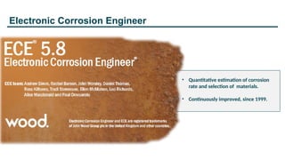 841726060-Ece-Software-Presentation.pptx
