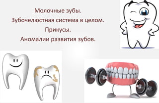 Молочные зубы.
Зубочелюстная система в целом.
Прикусы.
Аномалии развития зубов.
 