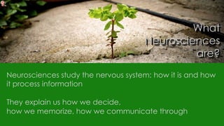 What
Neurosciences
are?
Neurosciences study the nervous system: how it is and how
it process information
They explain us how we decide,
how we memorize, how we communicate through
 