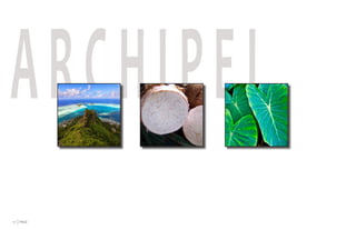 ARCHIPEL
17 PAGE
 