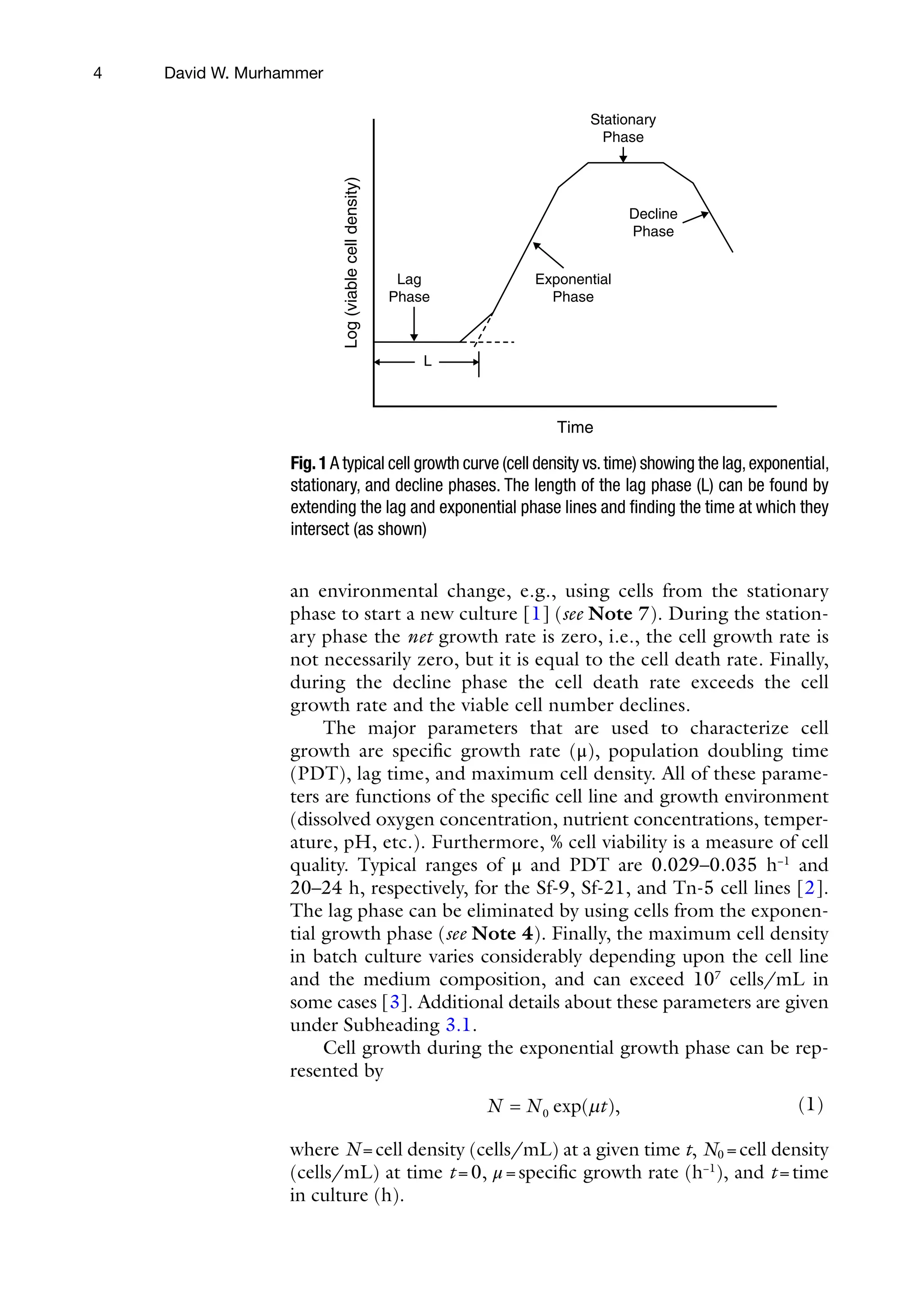 4
an environmental change, e.g., using cells from the stationary
phase to start a new culture [1] (see Note 7). During the station-
ary phase the net growth rate is zero, i.e., the cell growth rate is
not necessarily zero, but it is equal to the cell death rate. Finally,
during the decline phase the cell death rate exceeds the cell
growth rate and the viable cell number declines.
The major parameters that are used to characterize cell
growth are specific growth rate (μ), population doubling time
(PDT), lag time, and maximum cell density. All of these parame-
ters are functions of the specific cell line and growth environment
(dissolved oxygen concentration, nutrient concentrations, temper-
ature, pH, etc.). Furthermore, % cell viability is a measure of cell
quality. Typical ranges of μ and PDT are 0.029–0.035 h−1
and
20–24 h, respectively, for the Sf-9, Sf-21, and Tn-5 cell lines [2].
The lag phase can be eliminated by using cells from the exponen-
tial growth phase (see Note 4). Finally, the maximum cell density
in batch culture varies considerably depending upon the cell line
and the medium composition, and can exceed 107
cells/mL in
some cases [3]. Additional details about these parameters are given
under Subheading 3.1.
Cell growth during the exponential growth phase can be rep-
resented by
N N t
= 0 exp( ),
m (1)
where N=cell density (cells/mL) at a given time t, N0 =cell density
(cells/mL) at time t=0, μ=specific growth rate (h−1
), and t=time
in culture (h).
Stationary
Phase
Decline
Phase
Exponential
Phase
Lag
Phase
L
Log
(viable
cell
density)
Time
Fig.1A typical cell growth curve (cell density vs.time) showing the lag,exponential,
stationary, and decline phases. The length of the lag phase (L) can be found by
extending the lag and exponential phase lines and finding the time at which they
intersect (as shown)
David W. Murhammer
 