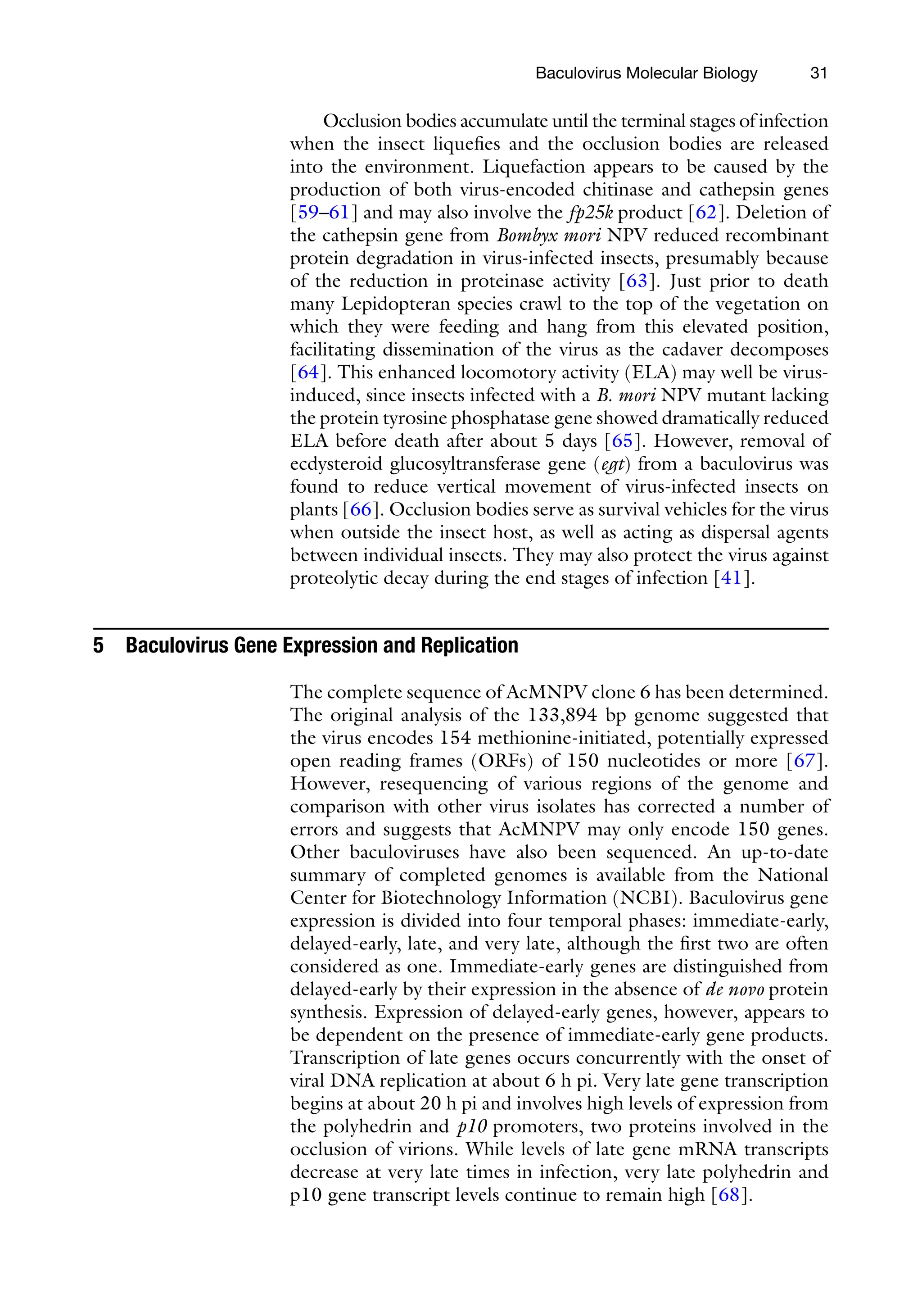 31
Occlusion bodies accumulate until the terminal stages of infection
when the insect liquefies and the occlusion bodies are released
into the environment. Liquefaction appears to be caused by the
production of both virus-encoded chitinase and cathepsin genes
[59–61] and may also involve the fp25k product [62]. Deletion of
the cathepsin gene from Bombyx mori NPV reduced recombinant
protein degradation in virus-infected insects, presumably because
of the reduction in proteinase activity [63]. Just prior to death
many Lepidopteran species crawl to the top of the vegetation on
which they were feeding and hang from this elevated position,
facilitating dissemination of the virus as the cadaver decomposes
[64]. This enhanced locomotory activity (ELA) may well be virus-
induced, since insects infected with a B. mori NPV mutant lacking
the protein tyrosine phosphatase gene showed dramatically reduced
ELA before death after about 5 days [65]. However, removal of
ecdysteroid glucosyltransferase gene (egt) from a baculovirus was
found to reduce vertical movement of virus-infected insects on
plants [66]. Occlusion bodies serve as survival vehicles for the virus
when outside the insect host, as well as acting as dispersal agents
between individual insects. They may also protect the virus against
proteolytic decay during the end stages of infection [41].
5 Baculovirus Gene Expression and Replication
The complete sequence of AcMNPV clone 6 has been determined.
The original analysis of the 133,894 bp genome suggested that
the virus encodes 154 methionine-initiated, potentially expressed
open reading frames (ORFs) of 150 nucleotides or more [67].
However, resequencing of various regions of the genome and
comparison with other virus isolates has corrected a number of
errors and suggests that AcMNPV may only encode 150 genes.
Other baculoviruses have also been sequenced. An up-to-date
summary of completed genomes is available from the National
Center for Biotechnology Information (NCBI). Baculovirus gene
expression is divided into four temporal phases: immediate-early,
delayed-early, late, and very late, although the first two are often
considered as one. Immediate-early genes are distinguished from
delayed-early by their expression in the absence of de novo protein
synthesis. Expression of delayed-early genes, however, appears to
be dependent on the presence of immediate-early gene products.
Transcription of late genes occurs concurrently with the onset of
viral DNA replication at about 6 h pi. Very late gene transcription
begins at about 20 h pi and involves high levels of expression from
the polyhedrin and p10 promoters, two proteins involved in the
occlusion of virions. While levels of late gene mRNA transcripts
decrease at very late times in infection, very late polyhedrin and
p10 gene transcript levels continue to remain high [68].
Baculovirus Molecular Biology
 