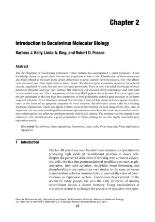 25
David W. Murhammer (ed.), Baculovirus and Insect Cell Expression Protocols, Methods in Molecular Biology,
vol. 1350, DOI 10.1007/978-1-4939-3043-2_2, © Springer Science+Business Media, LLC 2016
Chapter 2
Introduction to Baculovirus Molecular Biology
Barbara J. Kelly, Linda A. King, and Robert D. Possee
Abstract
The development of baculovirus expression vector systems has accompanied a rapid expansion of our
knowledge about the genes, their function and regulation in insect cells. Classification of these viruses has
also been refined as we learn more about differences in gene content between isolates, how this affects
virus structure and their replication in insect larvae. Baculovirus gene expression occurs in an ordered
cascade, regulated by early, late and very late gene promoters. There is now a detailed knowledge of these
promoter elements and how they interact first with host cell-encoded RNA polymerases and later with
virus-encoded enzymes. The composition of this virus RNA polymerase is known. The virus replication
process culminates in the very high level expression of both polyhedrin and p10 gene products in the latter
stages of infection. It has also been realized that the insect host cell has innate defenses against baculovi-
ruses in the form of an apoptotic response to virus invasion. Baculoviruses counter this by encoding
apoptotic-suppressors, which also appear to have a role in determining the host range of the virus. Also of
importance to our understanding of baculovirus expression systems is how the virus can accumulate muta-
tions within genes that affect recombinant protein yield in cell culture. The summary in this chapter is not
exhaustive, but should provide a good preparation to those wishing to use this highly successful gene
expression system.
Key words Baculovirus, Gene expression, Promoters, Insect cells, Virus structure, Virus replication,
Apoptosis
1 Introduction
The last 20 years have seen baculoviruses maintain a reputation for
producing high yields of recombinant proteins in insect cells.
Despite the perceived difficulties of working with a virus in eukary-
otic cells, the fact that posttranslational modifications such as gly-
cosylation, fatty acid acylation, disulphide bond formation, and
phosphorylation are carried out very similar to the same processes
in mammalian cells has convinced many users of the value of bacu-
loviruses as expression vectors. Continuous development of the
system by many groups has seen the early problems of making
recombinant viruses a distant memory. Using baculoviruses as
expression vectors is no longer the preserve of specialist virologists.
 