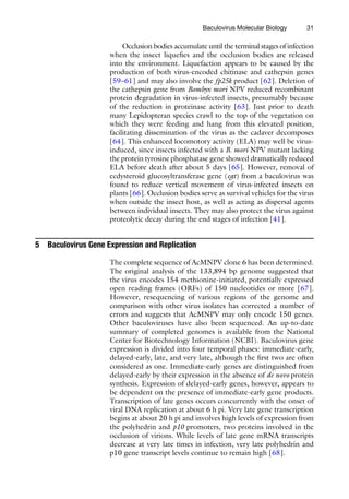 31
Occlusion bodies accumulate until the terminal stages of infection
when the insect liquefies and the occlusion bodies are released
into the environment. Liquefaction appears to be caused by the
production of both virus-encoded chitinase and cathepsin genes
[59–61] and may also involve the fp25k product [62]. Deletion of
the cathepsin gene from Bombyx mori NPV reduced recombinant
protein degradation in virus-infected insects, presumably because
of the reduction in proteinase activity [63]. Just prior to death
many Lepidopteran species crawl to the top of the vegetation on
which they were feeding and hang from this elevated position,
facilitating dissemination of the virus as the cadaver decomposes
[64]. This enhanced locomotory activity (ELA) may well be virus-
induced, since insects infected with a B. mori NPV mutant lacking
the protein tyrosine phosphatase gene showed dramatically reduced
ELA before death after about 5 days [65]. However, removal of
ecdysteroid glucosyltransferase gene (egt) from a baculovirus was
found to reduce vertical movement of virus-infected insects on
plants [66]. Occlusion bodies serve as survival vehicles for the virus
when outside the insect host, as well as acting as dispersal agents
between individual insects. They may also protect the virus against
proteolytic decay during the end stages of infection [41].
5 Baculovirus Gene Expression and Replication
The complete sequence of AcMNPV clone 6 has been determined.
The original analysis of the 133,894 bp genome suggested that
the virus encodes 154 methionine-initiated, potentially expressed
open reading frames (ORFs) of 150 nucleotides or more [67].
However, resequencing of various regions of the genome and
comparison with other virus isolates has corrected a number of
errors and suggests that AcMNPV may only encode 150 genes.
Other baculoviruses have also been sequenced. An up-to-date
summary of completed genomes is available from the National
Center for Biotechnology Information (NCBI). Baculovirus gene
expression is divided into four temporal phases: immediate-early,
delayed-early, late, and very late, although the first two are often
considered as one. Immediate-early genes are distinguished from
delayed-early by their expression in the absence of de novo protein
synthesis. Expression of delayed-early genes, however, appears to
be dependent on the presence of immediate-early gene products.
Transcription of late genes occurs concurrently with the onset of
viral DNA replication at about 6 h pi. Very late gene transcription
begins at about 20 h pi and involves high levels of expression from
the polyhedrin and p10 promoters, two proteins involved in the
occlusion of virions. While levels of late gene mRNA transcripts
decrease at very late times in infection, very late polyhedrin and
p10 gene transcript levels continue to remain high [68].
Baculovirus Molecular Biology
 