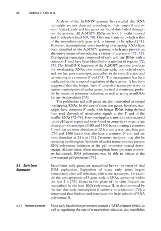 32
Analysis of the AcMNPV genome has revealed that RNA
transcripts are not clustered according to their temporal expres-
sion. Instead, early and late genes are found distributed through-
out the genome. All AcMNPV RNAs are both 5′ methyl capped
and 3′ polyadenylated [69, 70]. Only one transcript, which is that
of the immediate-early gene ie-1, is known to be spliced [71].
However, transcriptional units involving overlapping RNAs have
been identified in the AcMNPV genome, which may provide an
alternative means of introducing a variety of expression [72, 73].
Overlapping transcripts composed of early and late RNAs with a
common 3′ end have been identified in a number of regions [72,
73]. The HindIII-K fragment of the AcMNPV genome produces
five overlapping RNAs, two immediate-early, one delayed-early,
and two late gene transcripts, transcribed in the same direction and
terminating at a common 3′ end [73]. This arrangement has been
implicated in the temporal regulation of these genes. It has been
suggested that the longer, later 5′ extended transcripts serve to
repress transcription of earlier genes, located downstream, proba-
bly by means of promoter occlusion, as well as acting as mRNAs
for late viral products [73].
The polyhedrin and p10 genes are also transcribed as several
overlapping RNAs. In the case of these two genes, however, tran-
scripts have common 5' ends, with longer RNAs being derived
from read through of termination signals at the 3′ end of the
smaller RNAs [72–74]. Four overlapping transcripts were mapped
to the p10 gene region and were found to comprise two sets: a late
phase pair of transcripts (1100 and 1500 bases) sharing a common
5′ end that are most abundant at 12 h pi and a very late phase pair
(750 and 2500 bases) that also have a common 5′ end and are
most abundant at 24 h pi [74]. Promoter occlusion may also be
operating in this region. Synthesis of earlier transcripts may prevent
RNA polymerase initiation at the p10 promoter located down-
stream. At later times, when transcription from upstream promot-
ers has ceased, RNA polymerase may be able to initiate at the
downstream p10 promoter [74].
Baculovirus early genes are transcribed before the onset of viral
DNA replication. Expression of many early genes begins
immediately after cell infection, with some transcripts, for exam-
ple the anti-apoptotic p35 gene early mRNAs, appearing within
the first 2 h [75]. Genes in this phase of the virus lifecycle are
transcribed by the host RNA polymerase II, as demonstrated by
the fact that early transcription is sensitive to α-amanitin [76], a
compound that binds to and inactivates the large subunit of RNA
polymerase II.
Most early baculovirus promoters contain a TATA element which, as
well as regulating the rate of transcription initiation, also establishes
5.1 Early Gene
Expression
5.1.1 Promoter Elements
Barbara J. Kelly et al.
 
