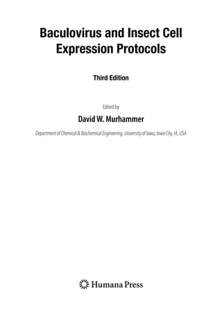 Baculovirus and Insect Cell
Expression Protocols
Third Edition
Edited by
DavidW. Murhammer
DepartmentofChemical&BiochemicalEngineering,UniversityofIowa,IowaCity,IA,USA
 
