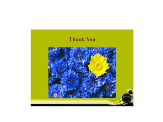 Pharmacovigilance in Iran