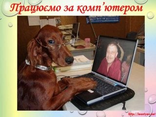 8 клас 43 урок. Цикл з лічильником. Складання алгоритмів опрацювання величин у навчальному середовищі програмування, їх на...