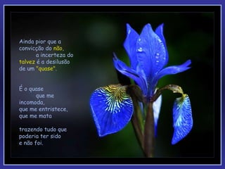 Ainda pior que a convicção do  não ,  a incerteza do  talvez  é a desilusão de um  "quase". É o quase  que me incomoda,  que me entristece, que me mata  trazendo tudo que poderia ter sido  e não foi. 