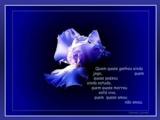 Quem quase ganhou ainda  joga,  quem quase passou  ainda estuda,  quem quase morreu  está vivo,  quem  quase amou  não amou.  