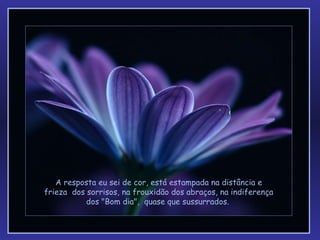 A resposta eu sei de cor, está estampada na distância e frieza  dos sorrisos, na frouxidão dos abraços, na indiferença dos "Bom dia",  quase que sussurrados.  