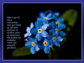 Não é que fé mova montanhas, nem que todas as estrelas estejam ao alcance, para as coisas que não podem ser mudadas resta-nos  somente paciência,  