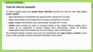 2024_AF_V1
Foco no conteúdo
O Aedes aegypti passa por quatro fases distintas durante seu ciclo de vida: ovo, larva,
pupa e adulto:
• ovo: deposição em recipientes com água parada, eclosão em 2-3 dias;
• larva: alimentação de microrganismos na água, duração de 4-10 dias;
• pupa: estágio intermediário, sem alimentação, duração de 1-4 dias;
• adulto: após emergir da pupa, o mosquito atinge a fase adulta. Nesse estágio, ele é
capaz de se reproduzir e buscar sangue para alimentação, sendo as fêmeas
responsáveis pela transmissão dos vírus da dengue, zika e chikungunya.
Os mosquitos fêmea colocam seus ovos em recipientes com água limpa e parada, como
pneus, latas, garrafas e pratos de vasos de plantas, entre outros.
Ciclo de vida do mosquito
 