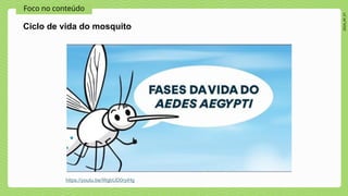 2024_AF_V1
Foco no conteúdo
Ciclo de vida do mosquito
https://youtu.be/WgbUD0ryiHg
 