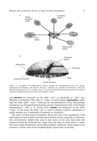 Evolution And Geological Significance Of Larger Benthic Foraminifera Mk ...