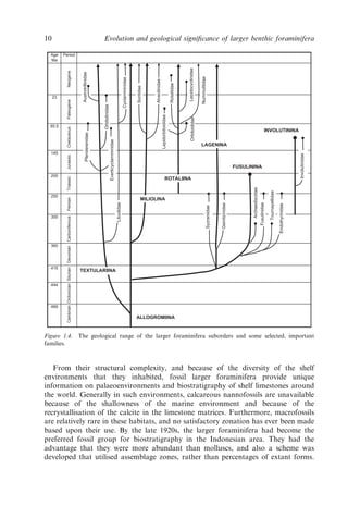 Evolution And Geological Significance Of Larger Benthic Foraminifera Mk ...