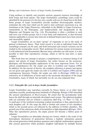 Evolution And Geological Significance Of Larger Benthic Foraminifera Mk ...