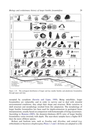 Evolution And Geological Significance Of Larger Benthic Foraminifera Mk ...