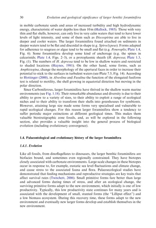 Evolution And Geological Significance Of Larger Benthic Foraminifera Mk ...