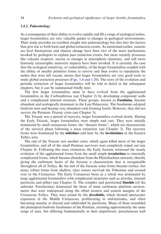 Evolution And Geological Significance Of Larger Benthic Foraminifera Mk ...