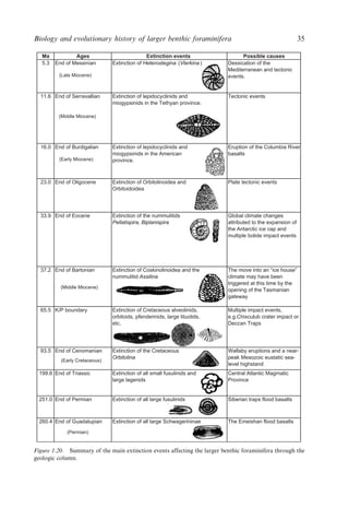 Evolution And Geological Significance Of Larger Benthic Foraminifera Mk ...