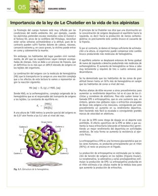 162 05 EQUILIBRIO QUÍMICO
La fisiología del cuerpo humano está muy influida por las
condiciones del medio ambiente. Así, por ejemplo, cuando
los alpinistas pretenden escalar montañas como el Everest o
el famoso K2, picos de la cordillera del Himalaya, necesitan
estar varias semanas aclimatándose a la altitud, pues de lo
contrario pueden sufrir fuertes dolores de cabeza, náuseas,
cansancio extremo y, en casos graves, la víctima puede entrar
en coma y sobrevenirle la muerte.
Sin embargo, los habitantes del lugar pueden vivir normal-
mente, de ahí que las expediciones vayan siempre acompa-
ñadas de sherpas. Esto se debe a un proceso de hipoxia, que
en definitiva no es más que un déficit elevado de oxígeno en
los tejidos del organismo.
La combinación del oxígeno con la molécula de hemoglobina
(Hb) que lo transporta en la sangre es una reacción compleja
que a los efectos de esta lectura la vamos a representar se-
gún la reacción siguiente:
Hb (aq) + O2 (g) →← HbO2 (aq)
Donde HbO2 es la oxihemoglobina, complejo oxigenado de la
hemoglobina que es el responsable del transporte de oxígeno
a los tejidos. La constante de equilibrio es:
Kc =
[
[
HbO ]
Hb][O ]2
2
A una altura de 7 000 metros la presión parcial del oxígeno es
de 0,07 atm frente a las 0,2 atm al nivel del mar.
El principio de Le Chatelier nos dice que una disminución en
la concentración de oxígeno desplazará el equilibrio hacia la
izquierda, es decir hacia la producción de menos oxi­he­mo­
glo­bi­na; es precisamente este cambio brusco el causante de
la hipoxia.
Si por el contrario, le damos el tiempo suficiente de aclimata-
ción a la altura, el organismo puede compensar este cambio
brusco produciendo más moléculas de hemoglobina.
El equilibrio anterior se desplazará entonces de forma gradual
de nuevo de izquierda a derecha produciendo más moléculas de
oxihemoglobina. El aumento de hemoglobina se lleva a cabo
muy lentamente y requiere de tres a cuatro semanas para
desarrollarse.
Se ha demostrado que los habitantes de las zonas de gran
altitud tienen hasta un 50 % más de hemoglobina en sangre
que los habitantes de zonas a nivel del mar.
Muchos atletas de élite recurren a otros procedimientos para
aumentar su rendimiento deportivo; tal es el caso de los ci-
clistas y corredores de atletismo. Para ello suelen tomar la
llamada EPO o eritropoyetina, que es una sustancia que, en
síntesis, genera mas glóbulos rojos o eritrocitos encargados
de llevar más oxígeno a los músculos, consiguiendo por este
procedimiento un aumento en su rendimiento deportivo,
bien haciendo más fácil la escalada o consiguiendo grandes
marcas de velocidad en atletismo.
El uso de la EPO como droga de dopaje en el deporte está
prohibido. El efecto «positivo» de la EPO se debe a que au-
menta la masa eritrocitaria (elevando el hematocrito) permi-
tiendo un mejor rendimiento del deportista en actividades
aeróbicas. De esta forma se aumenta la resistencia al ejer-
cicio físico.
La eritropoyetina o EPO es una hormona glucoproteica que en
los seres humanos, es producida principalmente por el riñón
(90 %); el resto se procesa en el hígado.
La producción de eritropoyetina es estimulada por la reduc-
ción de tensión de oxígeno en los tejidos (hipoxia tisular).
La noradrenalina, la adrenalina y varias prostaglandinas esti-
mulan la producción de EPO. La eritropoyetina producida en
el riñón estimula a las células madre de la médula ósea para
que aumente la producción de eritrocitos.
Importancia de la ley de Le Chatelier en la vida de los alpinistas
Grupo hemo
Cadena α
Cadena α Cadena β
Cadena β
Fe++
Fig. 5.7. Estructura de la hemoglobina.
Unidad_05.indd 162 19/3/09 22:35:53
 