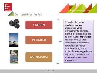 © McGraw-Hill
Recursos energéticos
Combustibles fósiles
Proceden de restos
vegetales y otros
organismos vivos
(generalmente plancton
marino) que hace millones
de años fueron sepultados
por efecto de grandes
cataclismos o fenómenos
naturales y se fueron
transformando, por la
acción de microorganismos,
bajo unas condiciones de
temperatura y presión
adecuadas.
CARBÓN
PETRÓLEO
GAS NATURAL
 