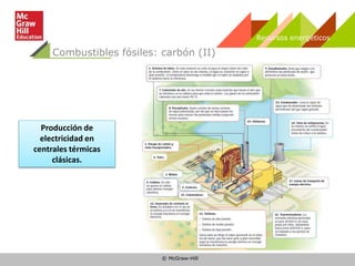 © McGraw-Hill
Recursos energéticos
Combustibles fósiles: carbón (II)
Producción de
electricidad en
centrales térmicas
clásicas.
 