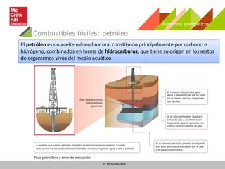 © McGraw-Hill
Recursos energéticos
Combustibles fósiles: petróleo
El petróleo es un aceite mineral natural constituido principalmente por carbono e
hidrógeno, combinados en forma de hidrocarburos, que tiene su origen en los restos
de organismos vivos del medio acuático.
Pozo petrolífero y torre de extracción.
 