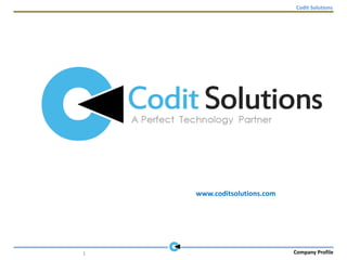 Codit Solutions
Company Profile
www.coditsolutions.com
1
 