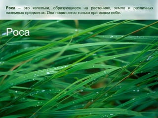 Роса – это капельки, образующиеся на растениях, земле и различных
наземных предметах. Она появляется только при ясном небе.




Роса
 