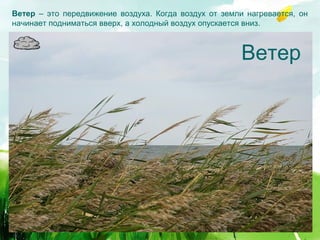 Ветер – это передвижение воздуха. Когда воздух от земли нагревается, он
начинает подниматься вверх, а холодный воздух опускается вниз.



                                                       Ветер
 