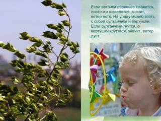 Если веточки деревьев качаются,
листочки шевелятся, значит,
ветер есть. На улицу можно взять
с собой султанчики и вертушки.
Если султанчики гнутся, а
вертушки крутятся, значит, ветер
дует.
 
