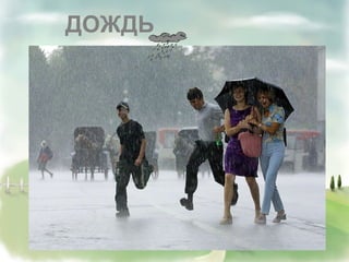 ДОЖДЬ
 
