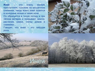 Иней    –    это   очень    мелкие
кристаллики, похожие на крошечные
снежинки. Чаще всего иней ложится
в холодные ясные и тихие ночи.
Он образуется в тихую погоду и при
лёгком ветерке и покрывает землю,
растения, камни, стены домов и
скамейки…
Говорят, что иней – это твёрдая
роса.




                     Иней
 
