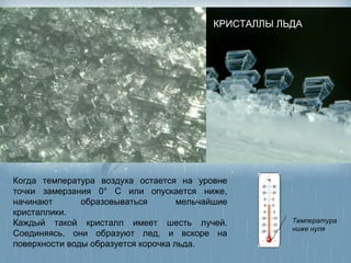 КРИСТАЛЛЫ ЛЬДА




Когда температура воздуха остается на уровне
точки замерзания 0° С или опускается ниже,
начинают       образовываться        мельчайшие
кристаллики.
Каждый такой кристалл имеет шесть лучей.               Температура
                                                       ниже нуля
Соединяясь, они образуют лед, и вскоре на
поверхности воды образуется корочка льда.
 