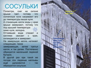 СОСУЛЬКИ
Посмотри, снег на склоне                         Тепло и
крыши      тает,   потому    что                 снег тает
солнечные лучи нагревают его
до температуры выше нуля.
А стекающие капли воды у края
крыши замерзают, потому что
под крышей температура
ниже нуля, холодно.
Оттаявшая вода стекает и
каплями      свисает   с   края,
охлаждается и замерзает.           Температура
На замерзшую каплю натекает        ниже нуля,
                                   холодно,
следующая, также                   капли
замерзающая, затем третья          замерзают.
капля, и так далее. Постепенно
образуется маленький ледяной
бугорок.
В другой раз при такой же
погоде эти ледяные наплывы
ещё      удлиняются      -   так
образуются сосульки.
 