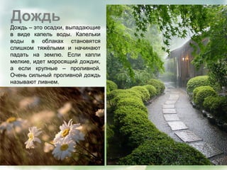 Дождь
Дождь – это осадки, выпадающие
в виде капель воды. Капельки
воды в облаках становятся
слишком тяжёлыми и начинают
падать на землю. Если капли
мелкие, идет моросящий дождик,
а если крупные – проливной.
Очень сильный проливной дождь
называют ливнем.
 
