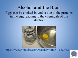 Alcohol and the Brain
Eggs can be cooked in vodka due to the proteins
in the egg reacting to the chemicals of the
alcohol.
https://www.youtube.com/watch?v=hHXllY32d4Q
 