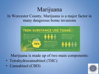 Marijuana
In Worcester County, Marijuana is a major factor in
many dangerous home invasions
Marijuana is made up of two main components:
• Tetrahydrocannabinol (THC)
• Cannabinol (CBD)
 