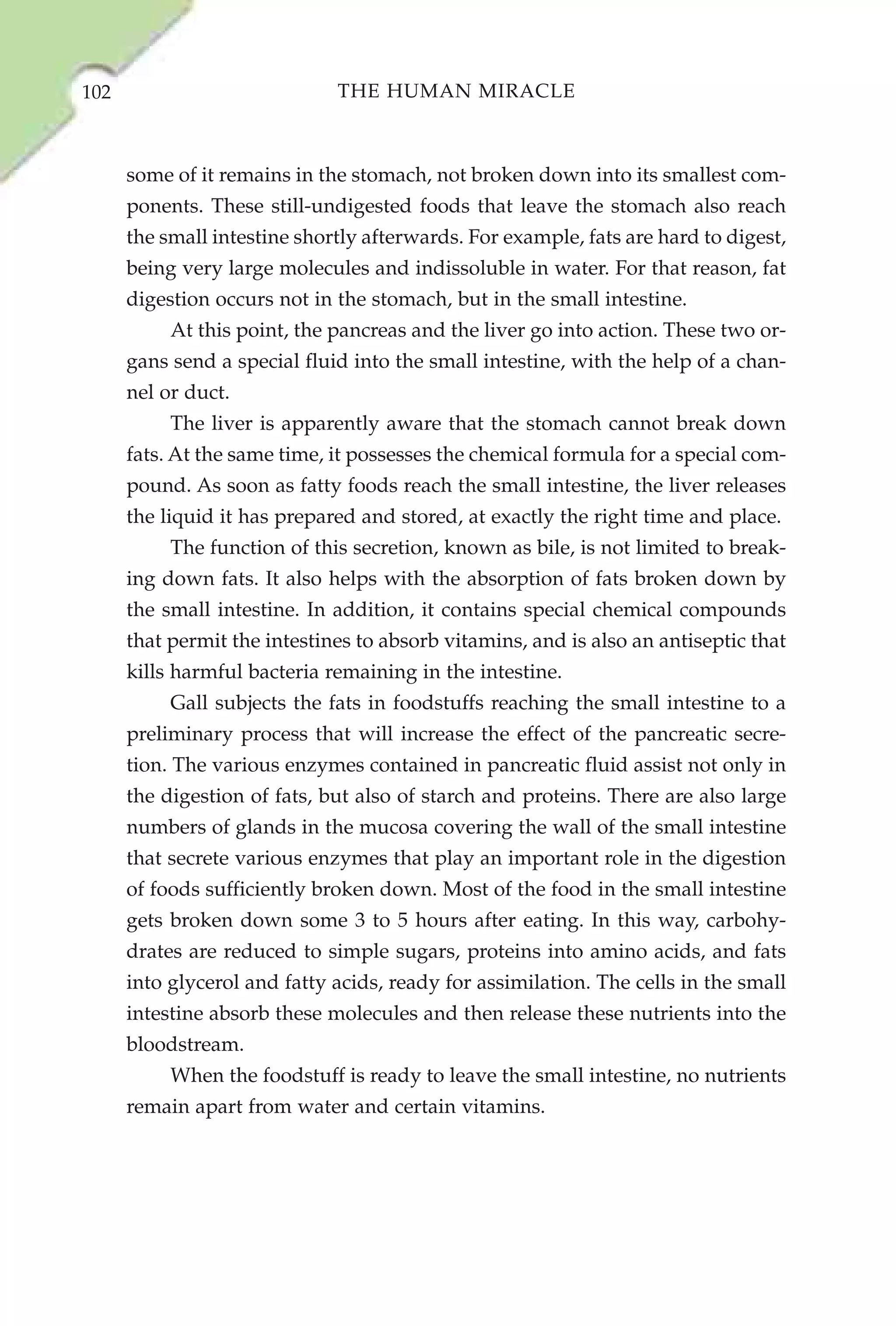 102                           THE HUMAN MIRACLE



      some of it remains in the stomach, not broken down into its smallest com-
      ponents. These still-undigested foods that leave the stomach also reach
      the small intestine shortly afterwards. For example, fats are hard to digest,
      being very large molecules and indissoluble in water. For that reason, fat
      digestion occurs not in the stomach, but in the small intestine.
           At this point, the pancreas and the liver go into action. These two or-
      gans send a special fluid into the small intestine, with the help of a chan-
      nel or duct.
           The liver is apparently aware that the stomach cannot break down
      fats. At the same time, it possesses the chemical formula for a special com-
      pound. As soon as fatty foods reach the small intestine, the liver releases
      the liquid it has prepared and stored, at exactly the right time and place.
           The function of this secretion, known as bile, is not limited to break-
      ing down fats. It also helps with the absorption of fats broken down by
      the small intestine. In addition, it contains special chemical compounds
      that permit the intestines to absorb vitamins, and is also an antiseptic that
      kills harmful bacteria remaining in the intestine.
           Gall subjects the fats in foodstuffs reaching the small intestine to a
      preliminary process that will increase the effect of the pancreatic secre-
      tion. The various enzymes contained in pancreatic fluid assist not only in
      the digestion of fats, but also of starch and proteins. There are also large
      numbers of glands in the mucosa covering the wall of the small intestine
      that secrete various enzymes that play an important role in the digestion
      of foods sufficiently broken down. Most of the food in the small intestine
      gets broken down some 3 to 5 hours after eating. In this way, carbohy-
      drates are reduced to simple sugars, proteins into amino acids, and fats
      into glycerol and fatty acids, ready for assimilation. The cells in the small
      intestine absorb these molecules and then release these nutrients into the
      bloodstream.
           When the foodstuff is ready to leave the small intestine, no nutrients
      remain apart from water and certain vitamins.
 