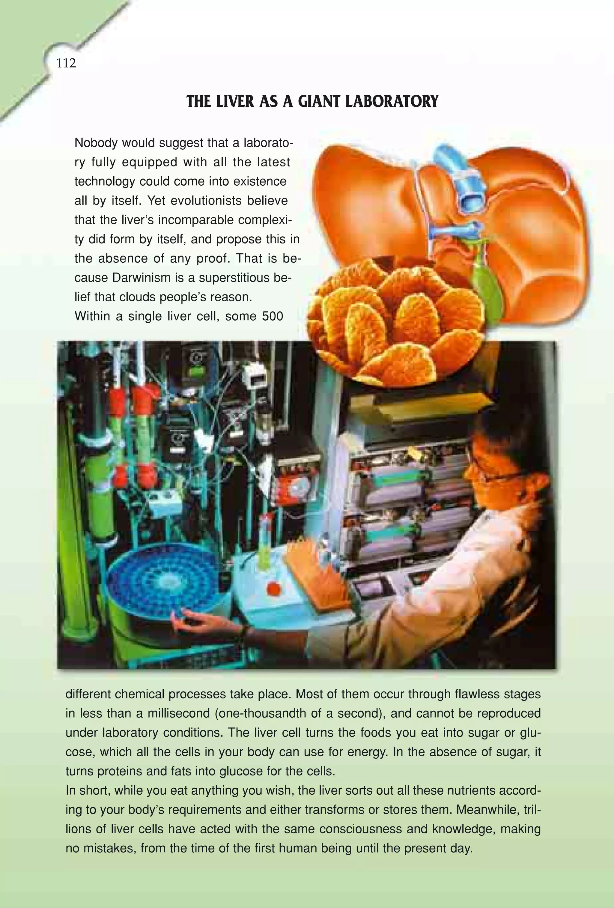 112

                       THE LIVER AS A GIANT LABORATORY

  Nobody would suggest that a laborato-
  ry fully equipped with all the latest
  technology could come into existence
  all by itself. Yet evolutionists believe
  that the liver’s incomparable complexi-
  ty did form by itself, and propose this in
  the absence of any proof. That is be-
  cause Darwinism is a superstitious be-
  lief that clouds people’s reason.
  Within a single liver cell, some 500




 different chemical processes take place. Most of them occur through flawless stages
 in less than a millisecond (one-thousandth of a second), and cannot be reproduced
 under laboratory conditions. The liver cell turns the foods you eat into sugar or glu-
 cose, which all the cells in your body can use for energy. In the absence of sugar, it
 turns proteins and fats into glucose for the cells.
 In short, while you eat anything you wish, the liver sorts out all these nutrients accord-
 ing to your body’s requirements and either transforms or stores them. Meanwhile, tril-
 lions of liver cells have acted with the same consciousness and knowledge, making
 no mistakes, from the time of the first human being until the present day.
 