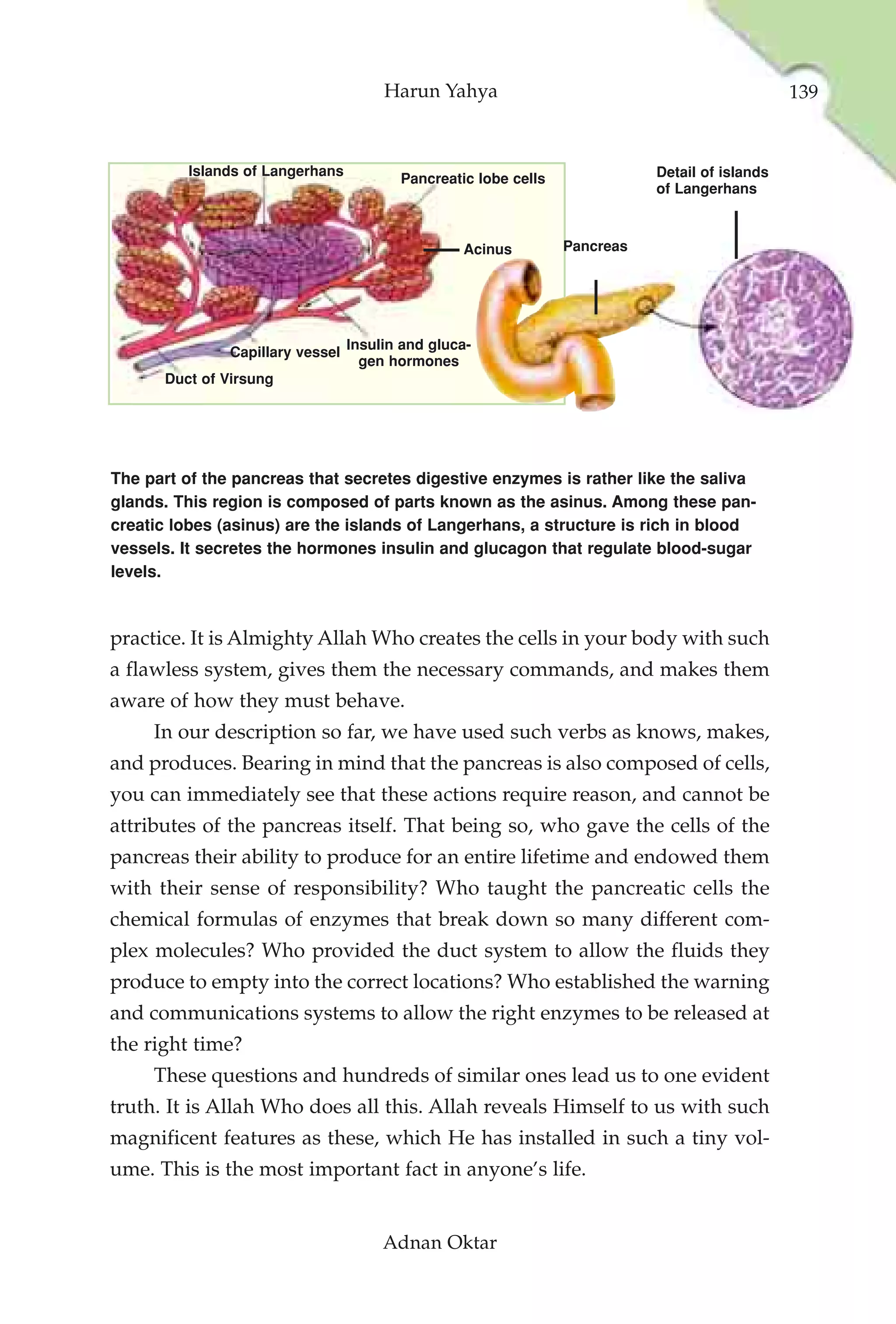 Harun Yahya                                              139



         Islands of Langerhans                                              Detail of islands
                                         Pancreatic lobe cells
                                                                            of Langerhans



                                                  Acinus         Pancreas




                                  Insulin and gluca-
               Capillary vessel
                                    gen hormones
      Duct of Virsung




The part of the pancreas that secretes digestive enzymes is rather like the saliva
glands. This region is composed of parts known as the asinus. Among these pan-
creatic lobes (asinus) are the islands of Langerhans, a structure is rich in blood
vessels. It secretes the hormones insulin and glucagon that regulate blood-sugar
levels.



practice. It is Almighty Allah Who creates the cells in your body with such
a flawless system, gives them the necessary commands, and makes them
aware of how they must behave.
     In our description so far, we have used such verbs as knows, makes,
and produces. Bearing in mind that the pancreas is also composed of cells,
you can immediately see that these actions require reason, and cannot be
attributes of the pancreas itself. That being so, who gave the cells of the
pancreas their ability to produce for an entire lifetime and endowed them
with their sense of responsibility? Who taught the pancreatic cells the
chemical formulas of enzymes that break down so many different com-
plex molecules? Who provided the duct system to allow the fluids they
produce to empty into the correct locations? Who established the warning
and communications systems to allow the right enzymes to be released at
the right time?
     These questions and hundreds of similar ones lead us to one evident
truth. It is Allah Who does all this. Allah reveals Himself to us with such
magnificent features as these, which He has installed in such a tiny vol-
ume. This is the most important fact in anyone’s life.


                                       Adnan Oktar
 