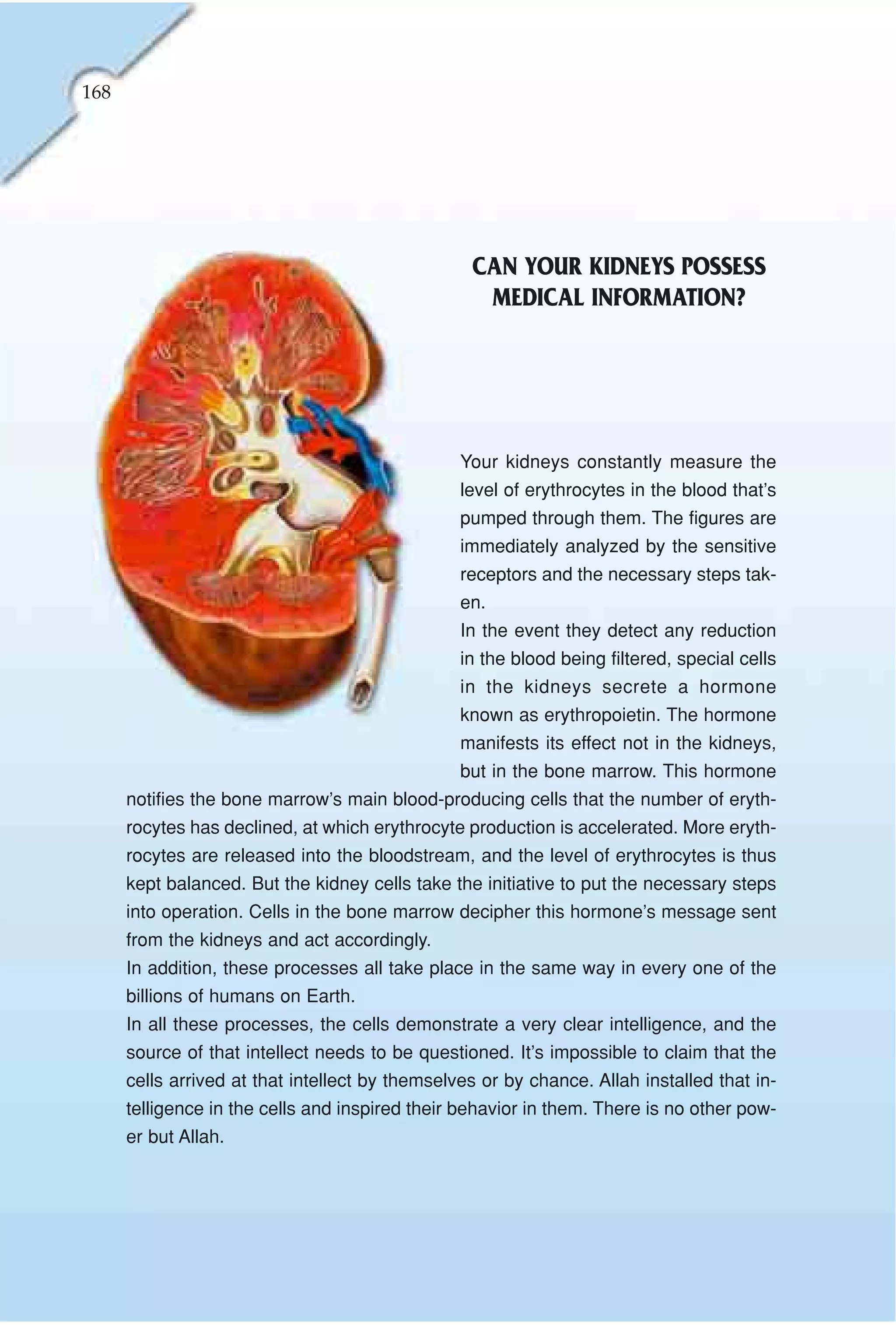 168




                                                  CAN YOUR KIDNEYS POSSESS
                                                   MEDICAL INFORMATION?




                                                 Your kidneys constantly measure the
                                                 level of erythrocytes in the blood that’s
                                                 pumped through them. The figures are
                                                 immediately analyzed by the sensitive
                                                 receptors and the necessary steps tak-
                                                 en.
                                                 In the event they detect any reduction
                                                 in the blood being filtered, special cells
                                                 in the kidneys secrete a hormone
                                                 known as erythropoietin. The hormone
                                                 manifests its effect not in the kidneys,
                                                 but in the bone marrow. This hormone
      notifies the bone marrow’s main blood-producing cells that the number of eryth-
      rocytes has declined, at which erythrocyte production is accelerated. More eryth-
      rocytes are released into the bloodstream, and the level of erythrocytes is thus
      kept balanced. But the kidney cells take the initiative to put the necessary steps
      into operation. Cells in the bone marrow decipher this hormone’s message sent
      from the kidneys and act accordingly.
      In addition, these processes all take place in the same way in every one of the
      billions of humans on Earth.
      In all these processes, the cells demonstrate a very clear intelligence, and the
      source of that intellect needs to be questioned. It’s impossible to claim that the
      cells arrived at that intellect by themselves or by chance. Allah installed that in-
      telligence in the cells and inspired their behavior in them. There is no other pow-
      er but Allah.
 