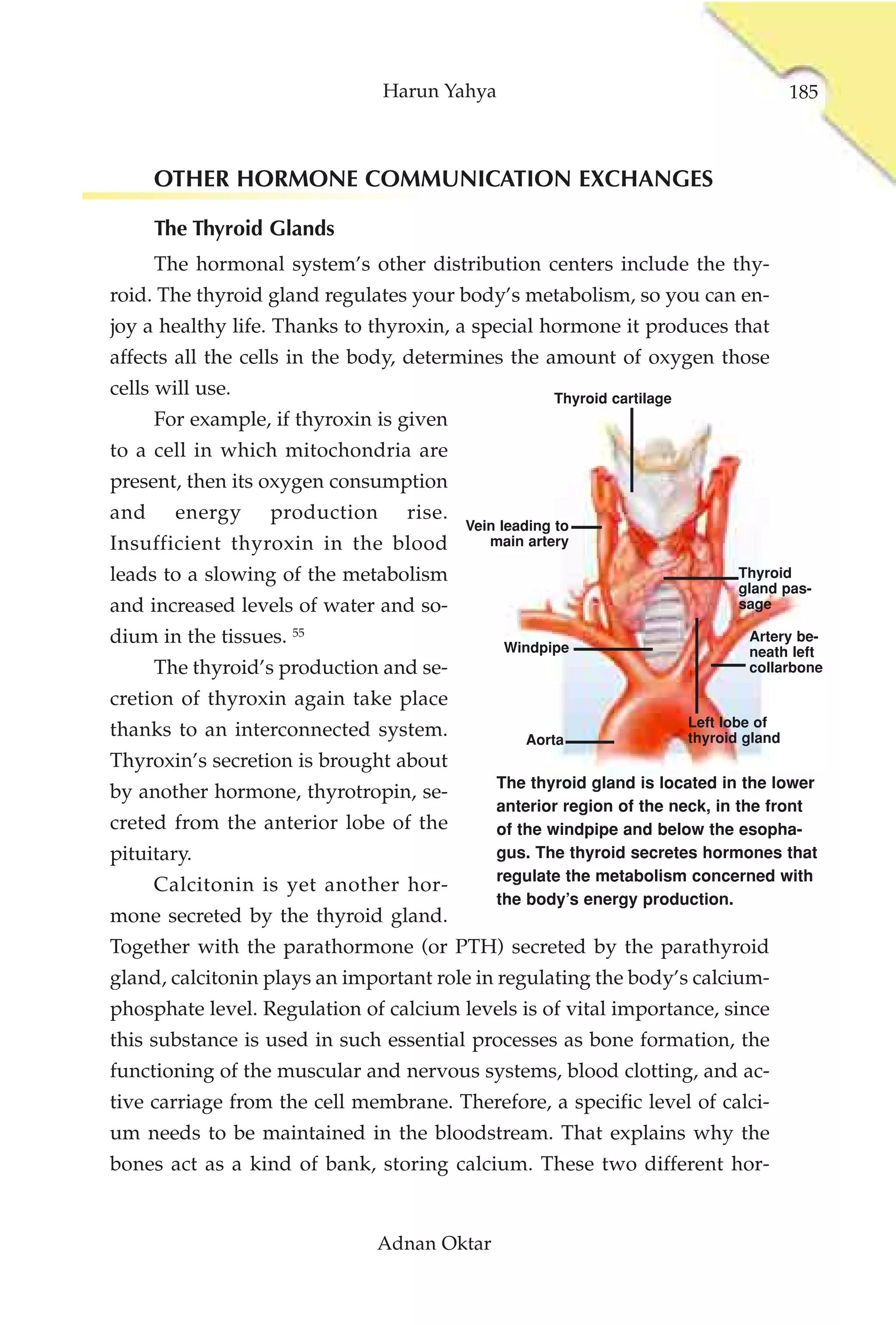 Harun Yahya                                               185



      OTHER HORMONE COMMUNICATION EXCHANGES

      The Thyroid Glands
      The hormonal system’s other distribution centers include the thy-
roid. The thyroid gland regulates your body’s metabolism, so you can en-
joy a healthy life. Thanks to thyroxin, a special hormone it produces that
affects all the cells in the body, determines the amount of oxygen those
cells will use.                                       Thyroid cartilage
      For example, if thyroxin is given
to a cell in which mitochondria are
present, then its oxygen consumption
and     energy     production     rise.
                                          Vein leading to
Insufficient thyroxin in the blood           main artery

leads to a slowing of the metabolism                                             Thyroid
                                                                                 gland pas-
and increased levels of water and so-                                            sage

dium in the tissues. 55                        Windpipe
                                                                                  Artery be-
                                                                                  neath left
      The thyroid’s production and se-                                            collarbone

cretion of thyroxin again take place
                                                                          Left lobe of
thanks to an interconnected system.               Aorta                   thyroid gland
Thyroxin’s secretion is brought about
                                              The thyroid gland is located in the lower
by another hormone, thyrotropin, se-
                                              anterior region of the neck, in the front
creted from the anterior lobe of the          of the windpipe and below the esopha-
pituitary.                                    gus. The thyroid secretes hormones that
                                              regulate the metabolism concerned with
      Calcitonin is yet another hor-
                                              the body’s energy production.
mone secreted by the thyroid gland.
Together with the parathormone (or PTH) secreted by the parathyroid
gland, calcitonin plays an important role in regulating the body’s calcium-
phosphate level. Regulation of calcium levels is of vital importance, since
this substance is used in such essential processes as bone formation, the
functioning of the muscular and nervous systems, blood clotting, and ac-
tive carriage from the cell membrane. Therefore, a specific level of calci-
um needs to be maintained in the bloodstream. That explains why the
bones act as a kind of bank, storing calcium. These two different hor-


                               Adnan Oktar
 